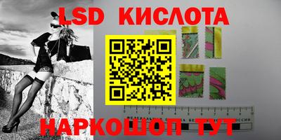 стафф Камышлов
