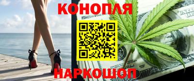 стафф Камышлов