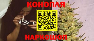 стафф Камышлов