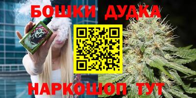 apvp Канаш