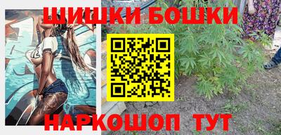 стафф Камышлов