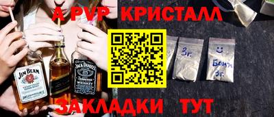 стафф Камышлов