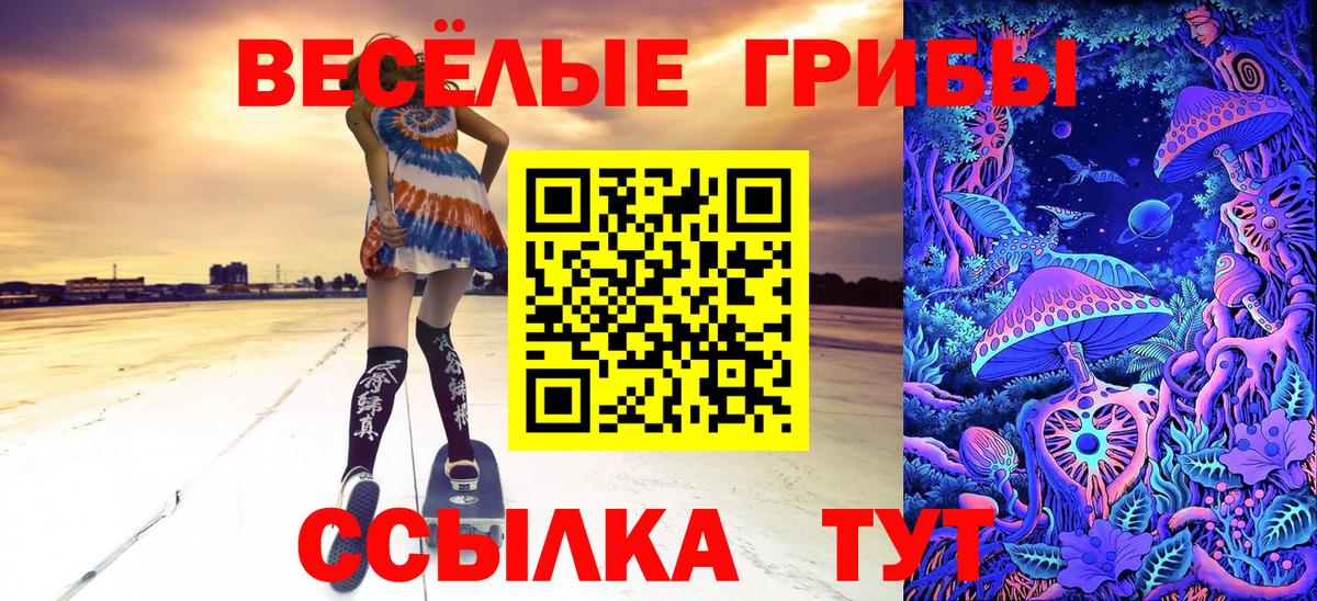 Волоколамск  Псилоцибиновые грибы Psilocybine cubensis  Галлюциногенные грибы Psilocybine cubensis  Вход с VPN 